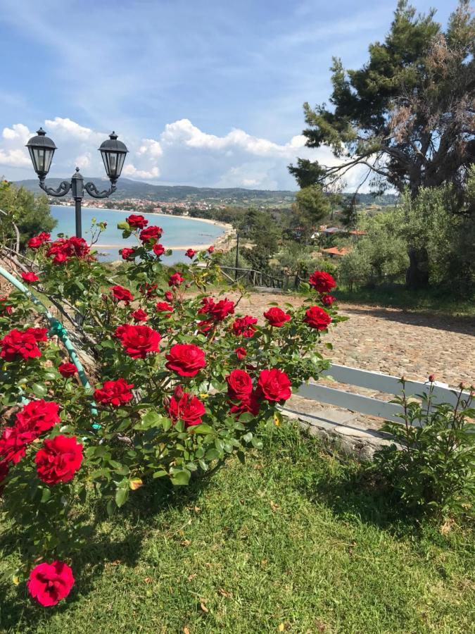 Villa In Cavo Kastri Residence نيكيتي المظهر الخارجي الصورة